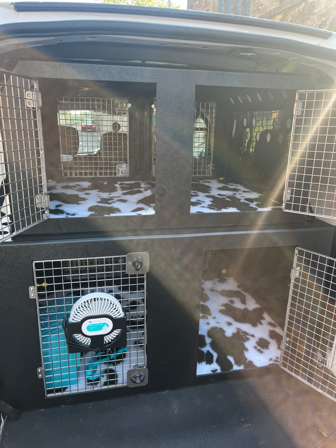 Customer photo review of Dog Van Kit | Citroën Berlingo | 2008-Present | Double stack | DT VS1