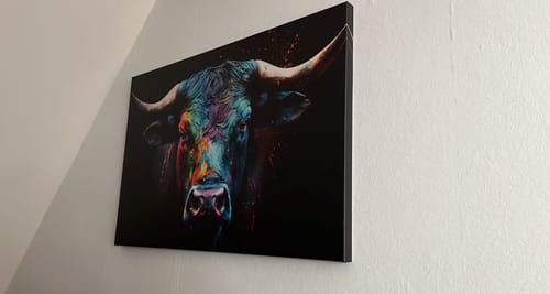 Customer photo review of Leinwandbild | Stier mit bunten Farben | Querformat