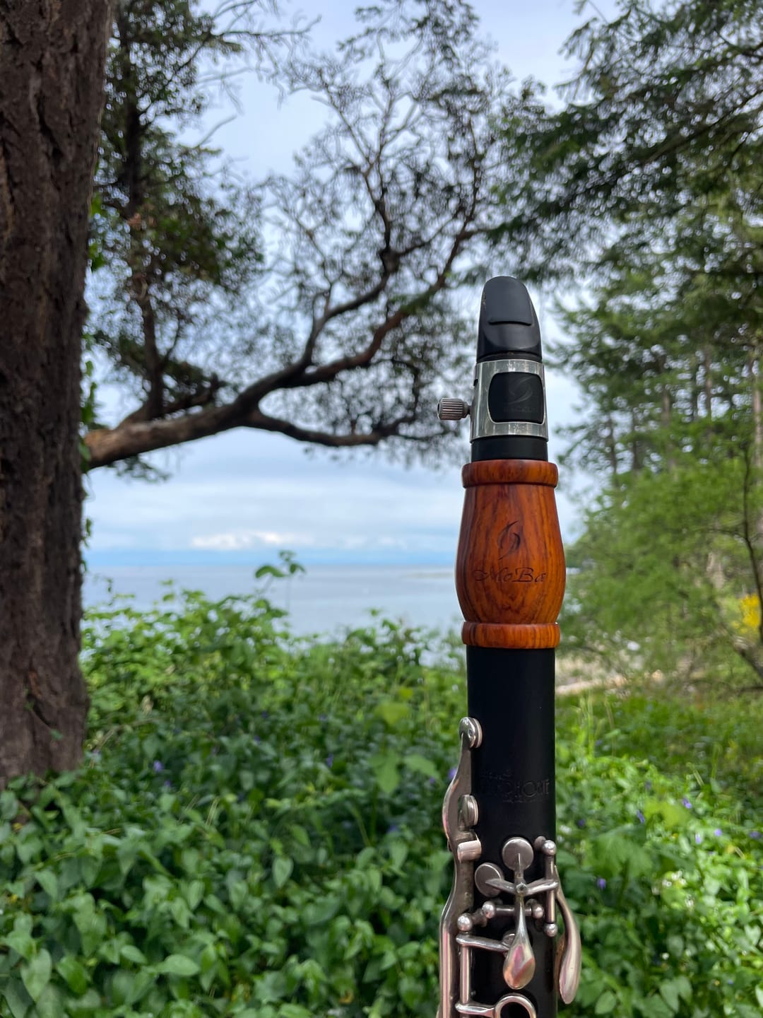 Customer photo review of MoBa Barrels