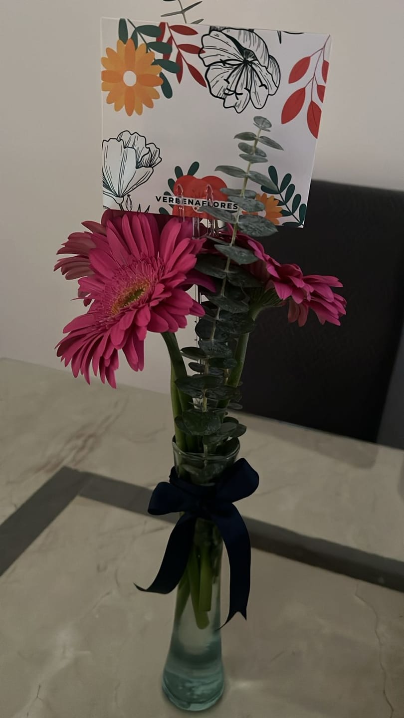 Customer photo review of Pequeño Arcoíris Flores - Gerbera Rosa GDL