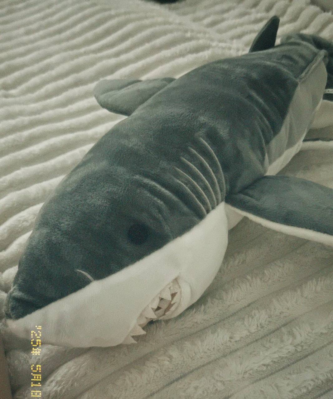 Customer photo review of Great White Shark Soft Stuffed Plush Toy