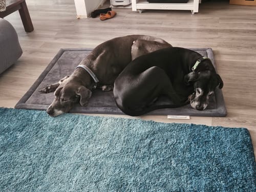 Customer photo review of The Mellow Mat® v2 (Soft Touch Sensory Tatami Rug)
