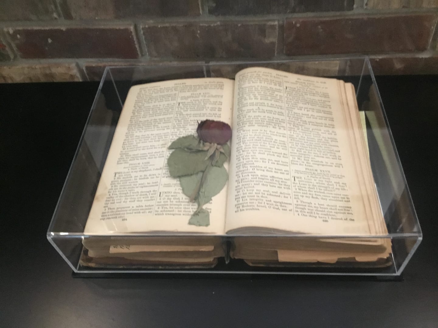 Customer photo review of Acrylic Double Sheet Book Display Cases