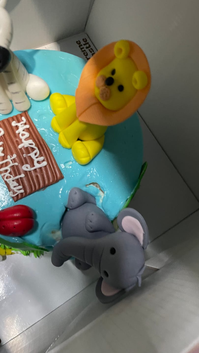 Customer photo review of Jungle theme