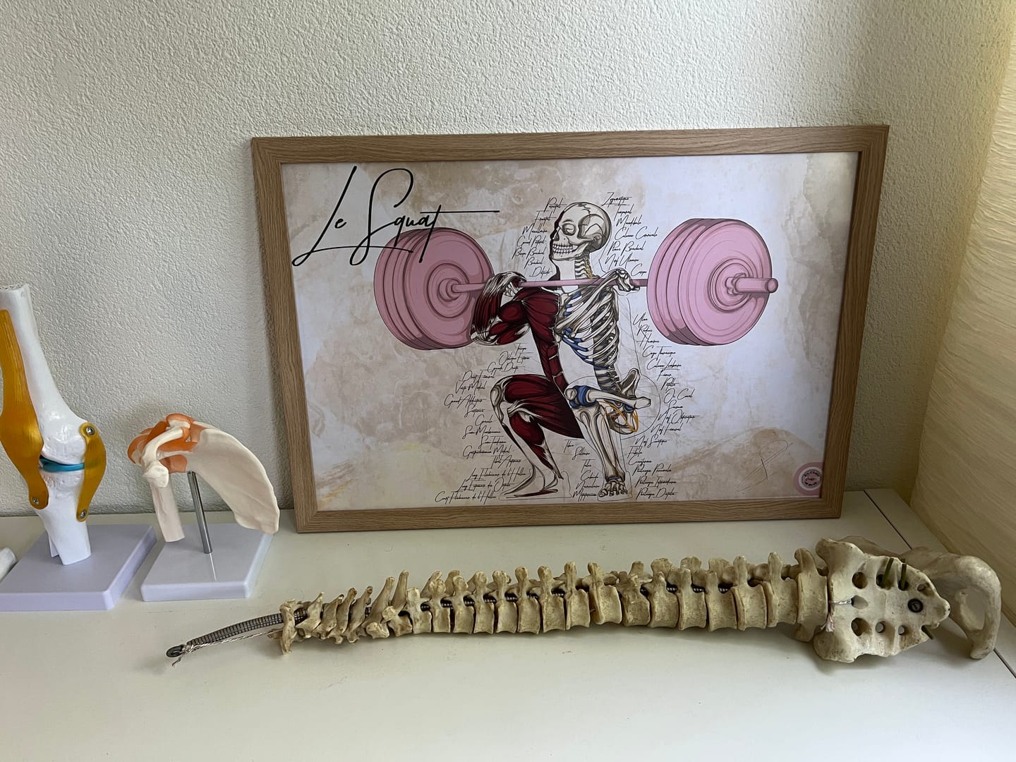 Customer photo review of Poster anatomique de l'haltérophilie - Le squat