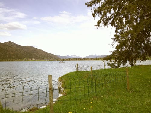 Customer photo review of NUVINT - Digitalkamera