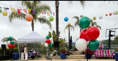 Customer photo review of Dark Green DuraBalloon®