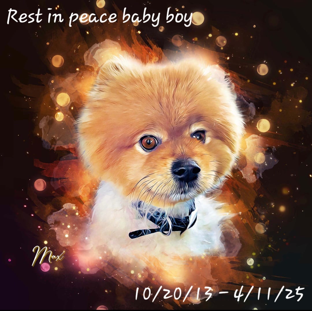 Customer photo review of Custom Neon Watercolor Pet Portrait – Aesthetic Neon Style (AN)