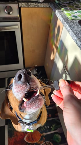 Customer photo review of CBD for Pets - Full Spectrum Daily CBD Hemp Oil for Pets!