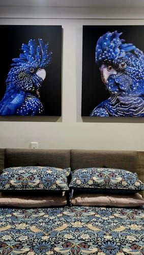 Customer photo review of Black Cockatoo On Black - Two Piece Black Cockatoo Stretched Canvas Framed Wall Art