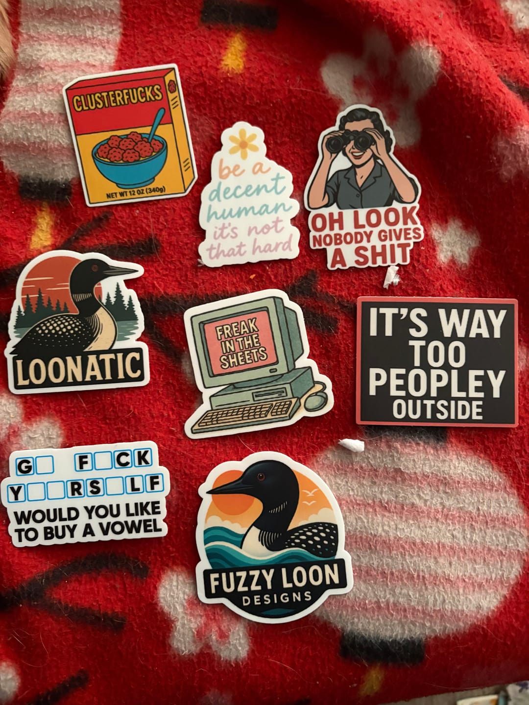 Customer photo review of STICKER CLUB | Monthly Sticker Subscription