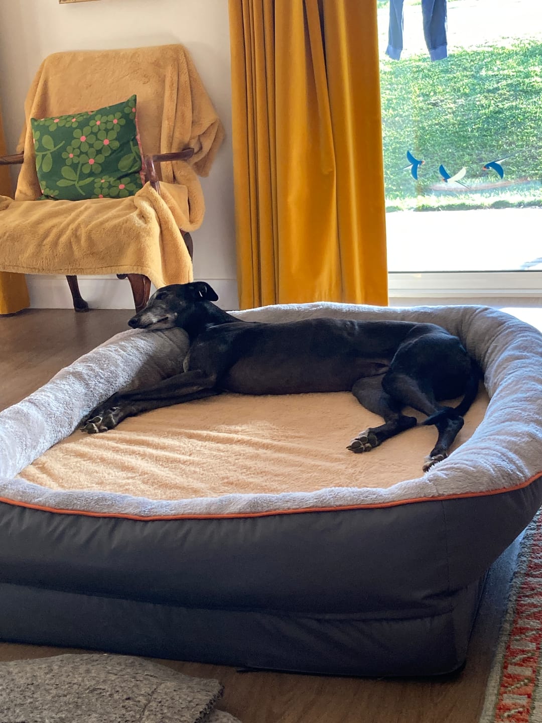 Customer photo review of 3XL Jumbo Orthopedic Dog Bed – Ultimate Comfort Foam Mat with Bolster & Removable Cover for Large Breeds