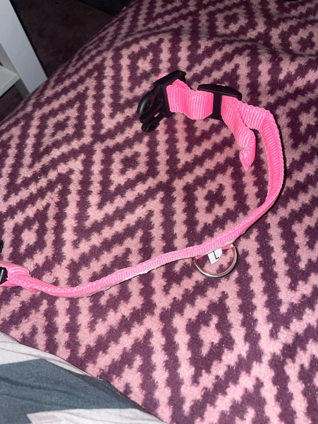 Customer photo review of LED Glowing Dog Collar Adjustable Flashing Rechargea Luminous Collar Night Anti-Lost Dog Light HarnessFor Small Dog Pet Products