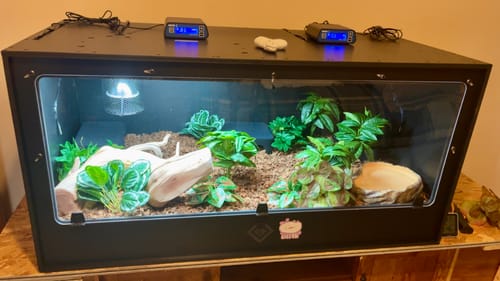 Customer photo review of XT4 BIO24 (48Lx24Dx24H) - STACKABLE