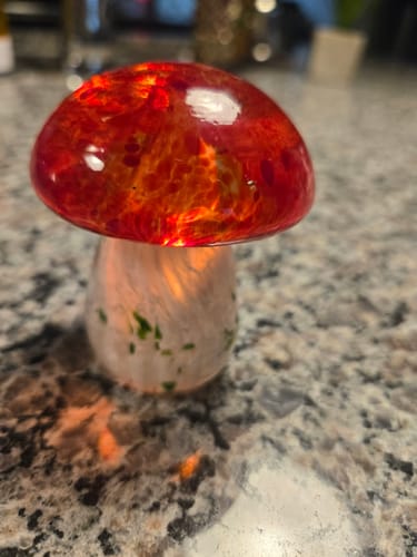 Customer photo review of Small Glass Mushroom, Green Spotted with Red Cap