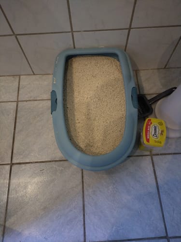 Customer photo review of Naturreines Katzenstreu