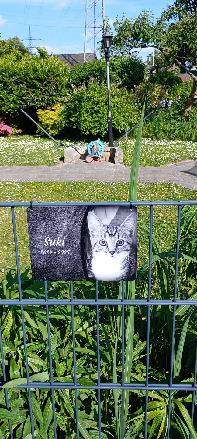 Customer photo review of Katzen Gedenktafel mit Foto & Spruch (UV- & Wetterfest)