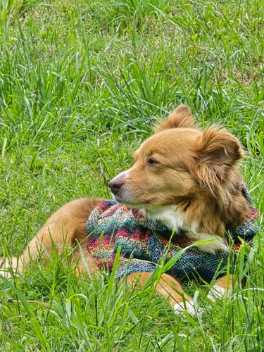 Customer photo review of Free & Easy Return or Exchange Coverage + Package Protection