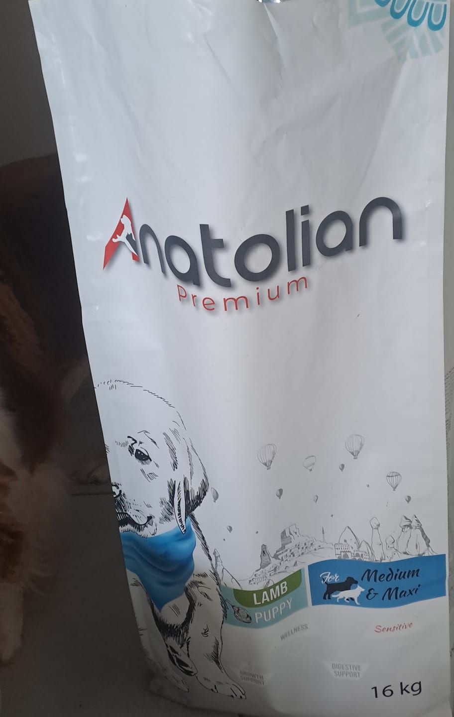 Customer photo review of Kuzulu Yavru Köpek Maması