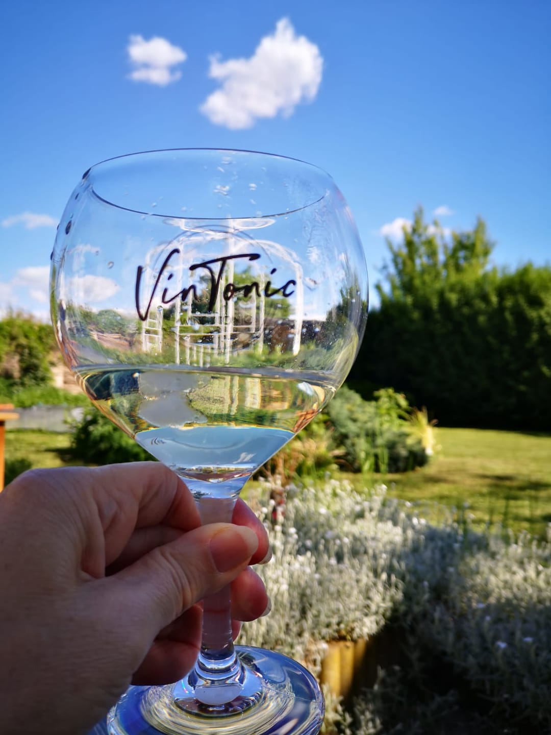 Customer photo review of VinTonic Probierpaket
