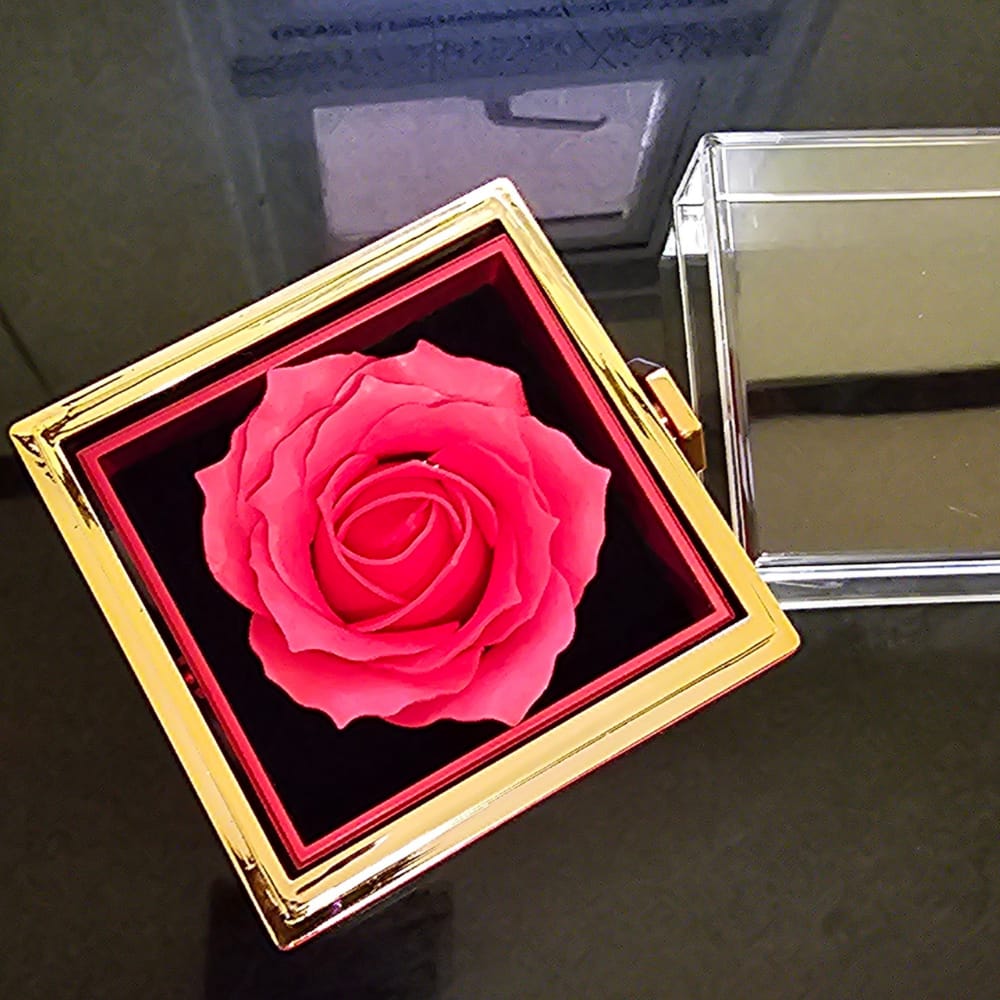 Customer photo review of To My Daughter Rotating Rose Box Necklace Gift - SS#29