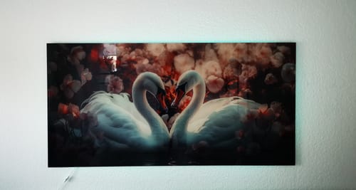 Customer photo review of Acrylglasbild | Zwei Schwäne im Wasser | Querformat