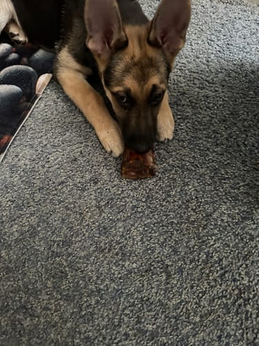 Customer photo review of The Gourmet Sample Pack