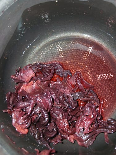 Customer photo review of Rosa Jamaica - Hibisco / Flor ⁽ᵃˡᵗᵃ ᶜᵃˡⁱᵈᵃᵈ⁾