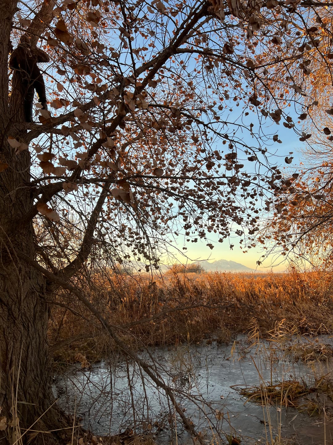 Customer photo review of TorridWade Heated Duck Waterfowl Hunting Breathable Chest Waders