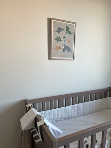 Customer photo review of Dinosaurs