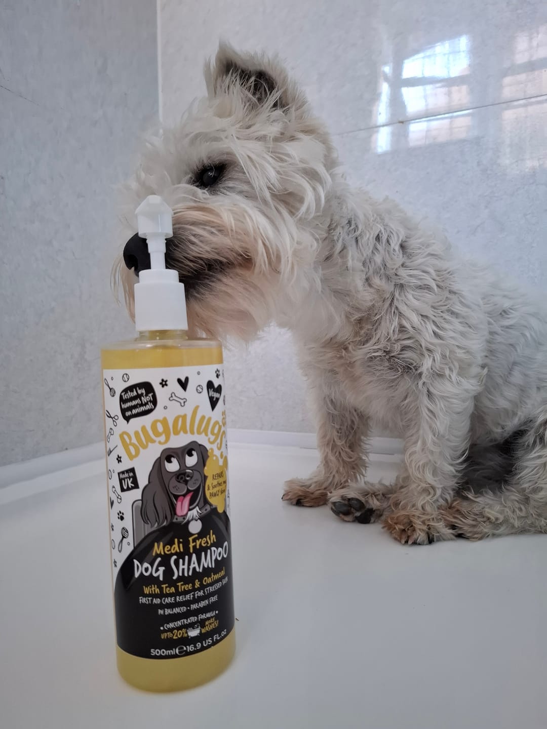 Customer photo review of Medi Fresh Dog Shampoo with Tea Tree & Oatmeal