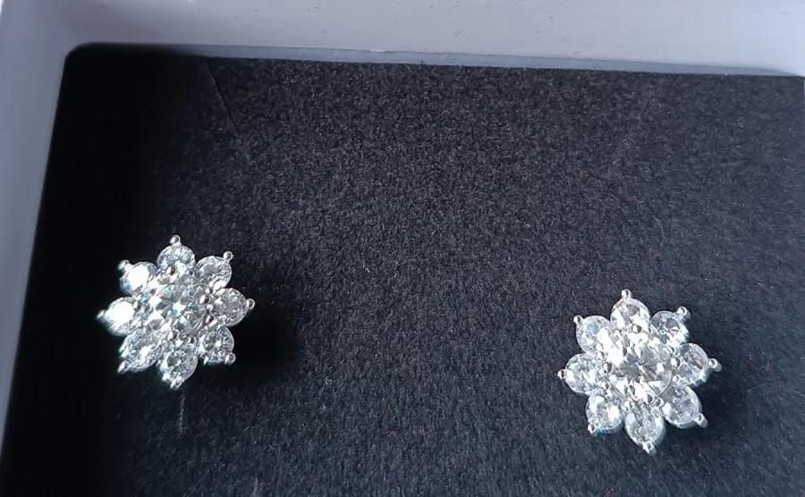 Customer photo review of Andora Silver Crystal Earrings