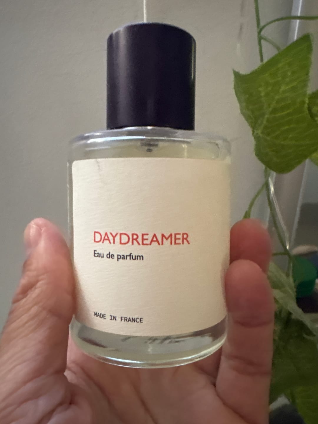 Customer photo review of Daydreamer