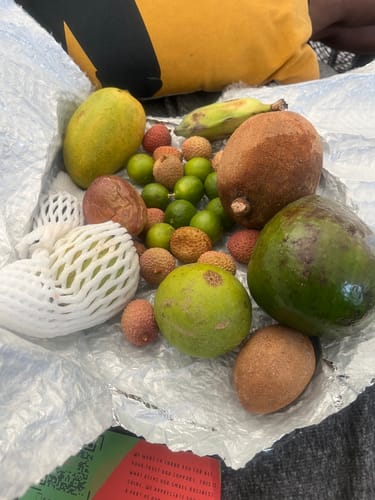 Customer photo review of Tropical Variety Box