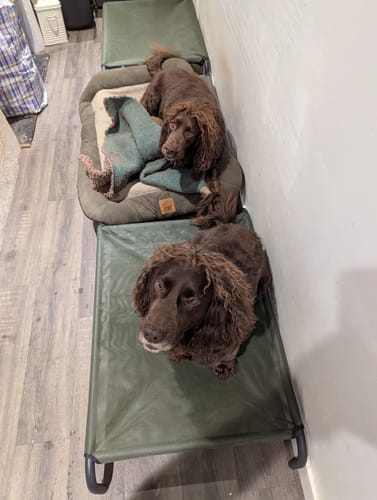 Andrea E. review of HiK9 Bed with Olive Mesh Cover image 1 out of 1