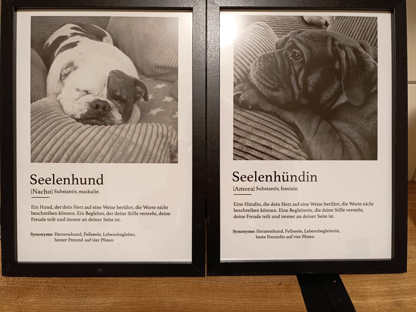 Customer photo review of Definition Seelentier - Individuelles Poster