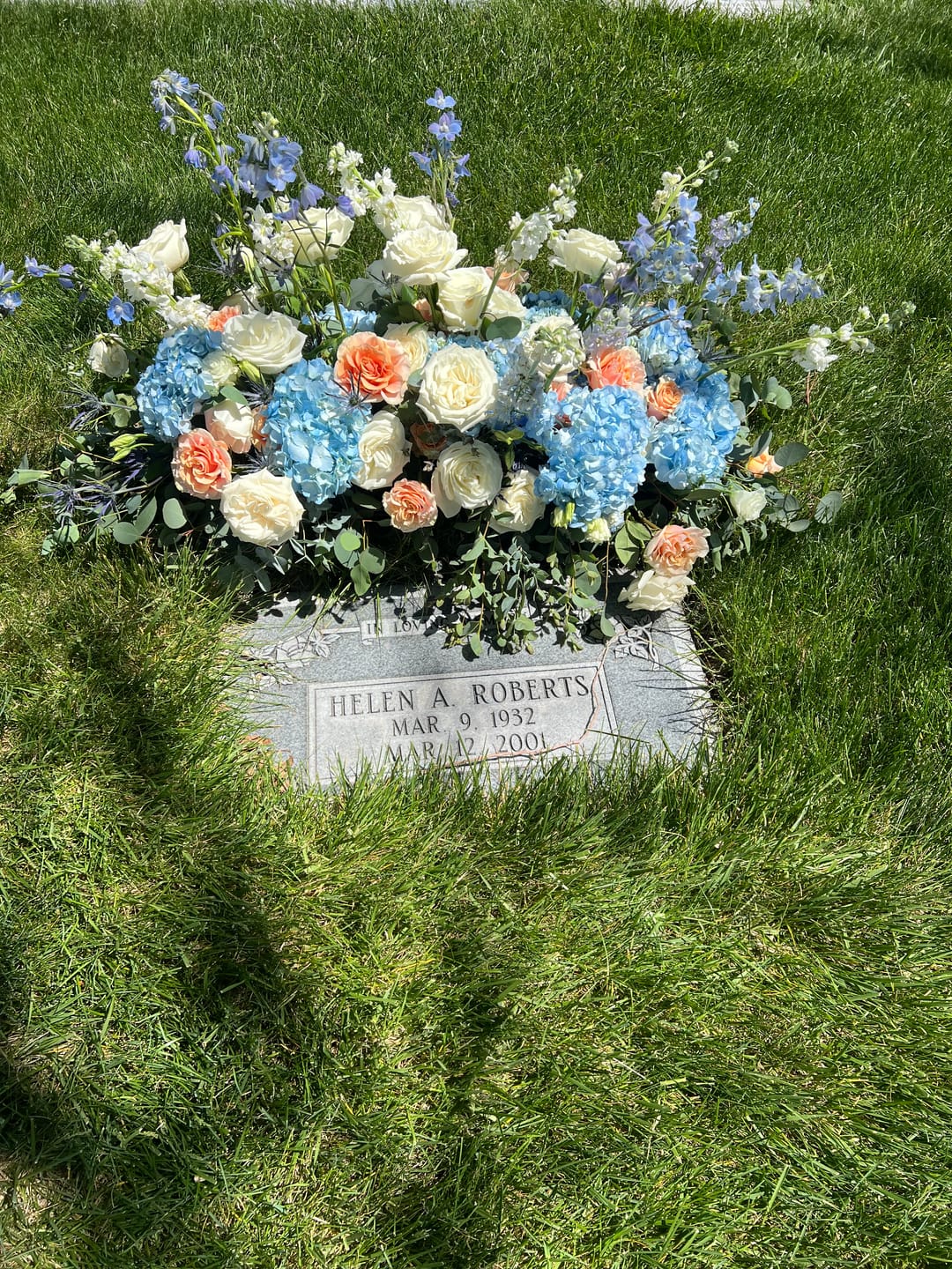 Customer photo review of Light Blue Delphinium