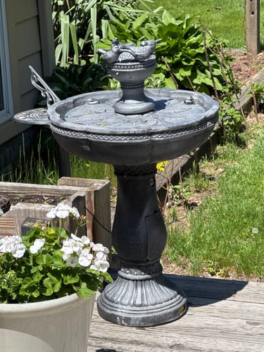 Customer photo review of Fountain Pump with Green Connector