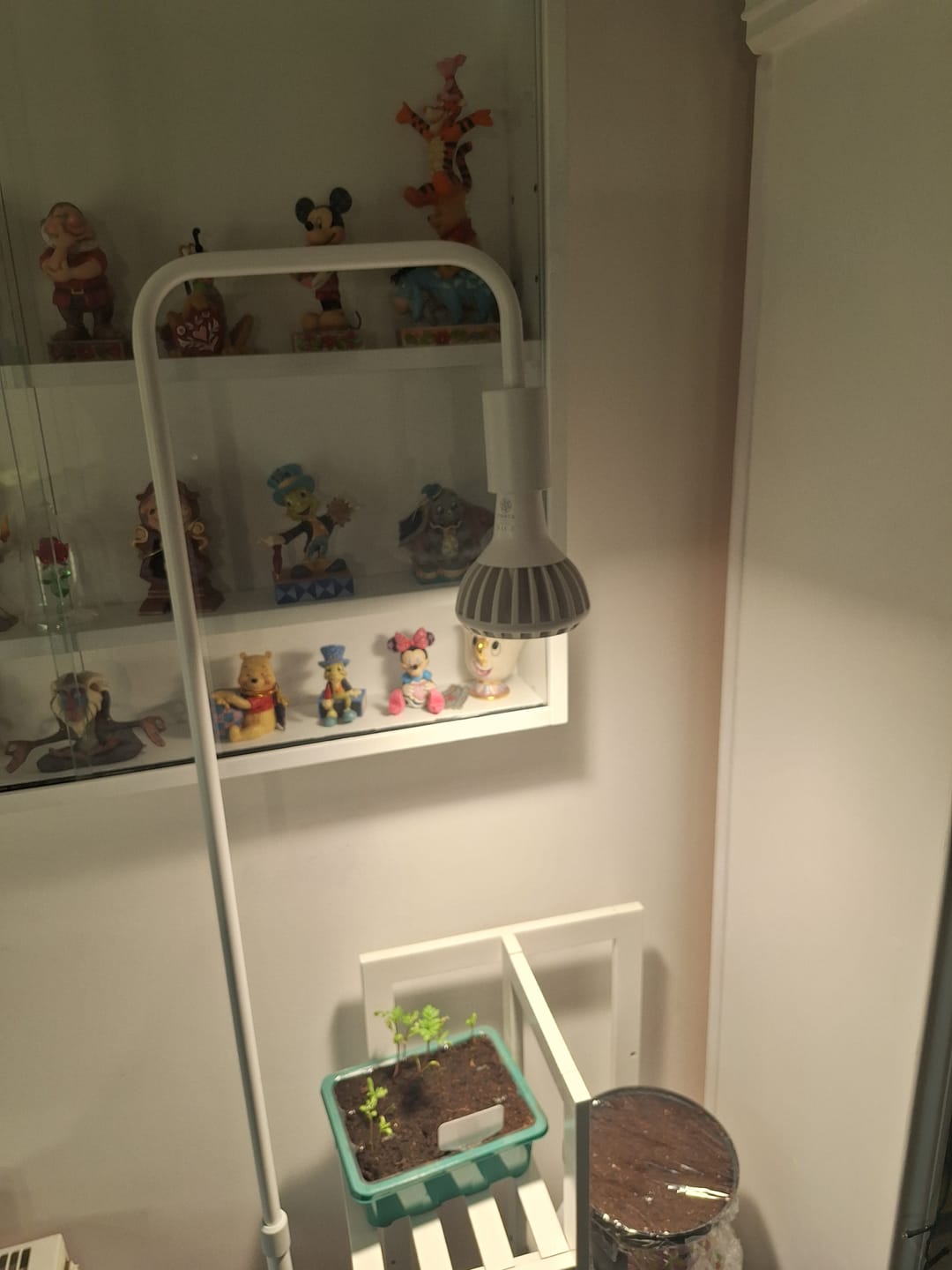 Customer photo review of Pianta Adjustable Floor Lamp