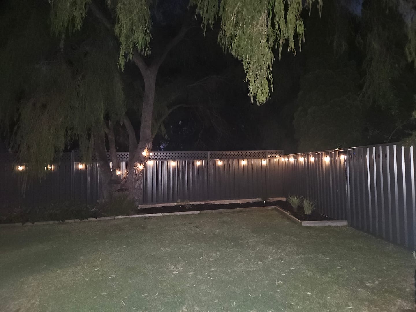 Customer photo review of Festoon Solar Lights (Series 2)