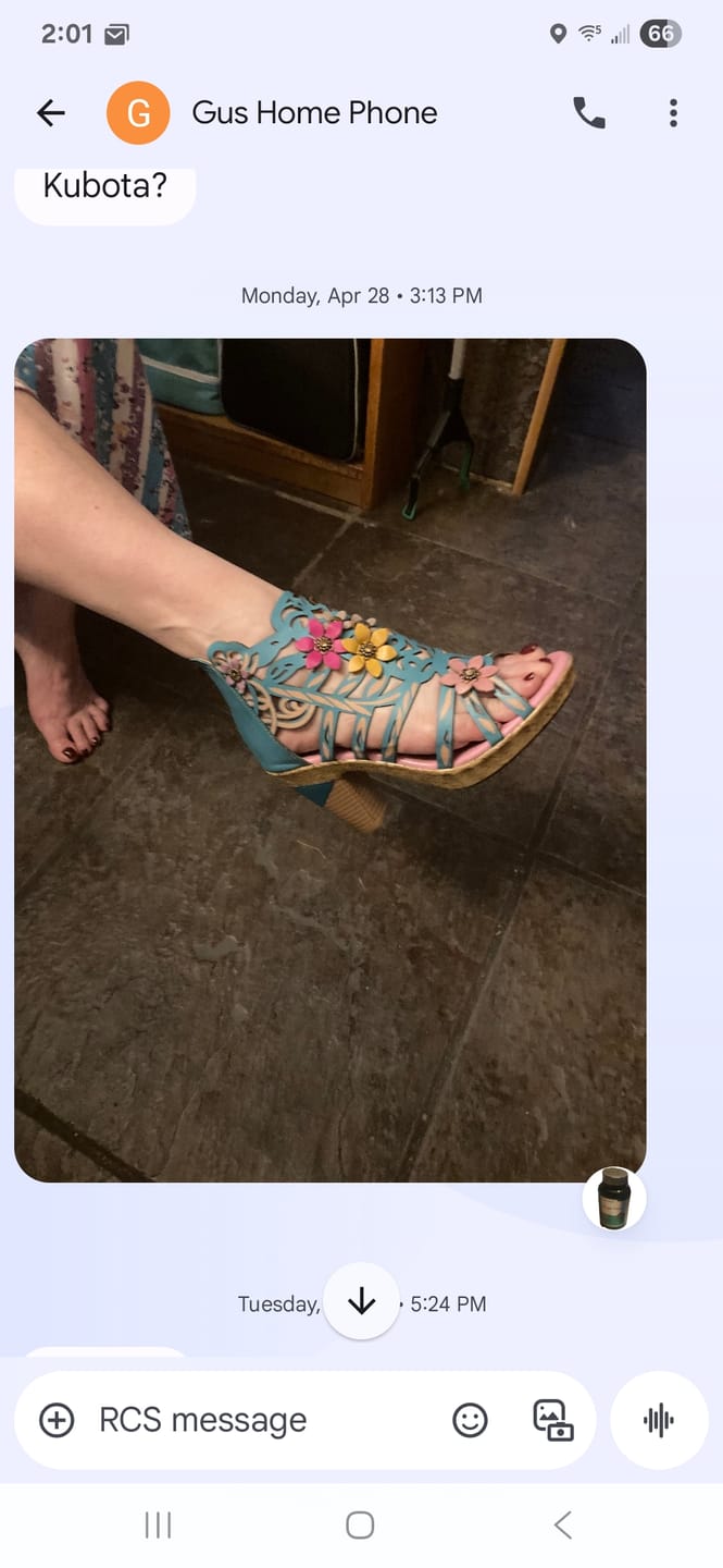 Customer photo review of Blooming Vine Romantic Cutout Sandals