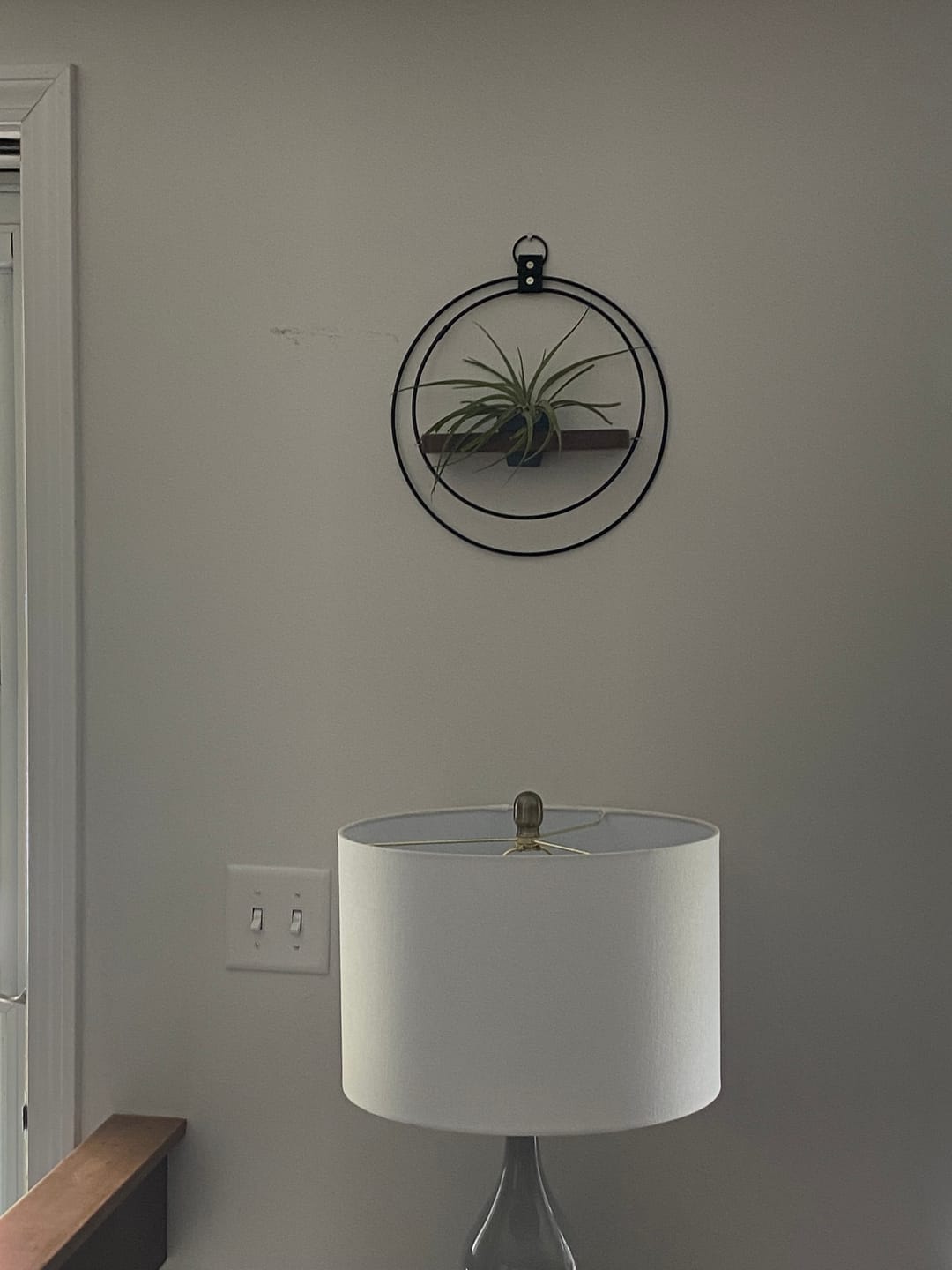 Customer photo review of Air Plant Shelf + Pot