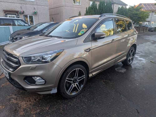 Customer photo review of The Apex Warrior Kit