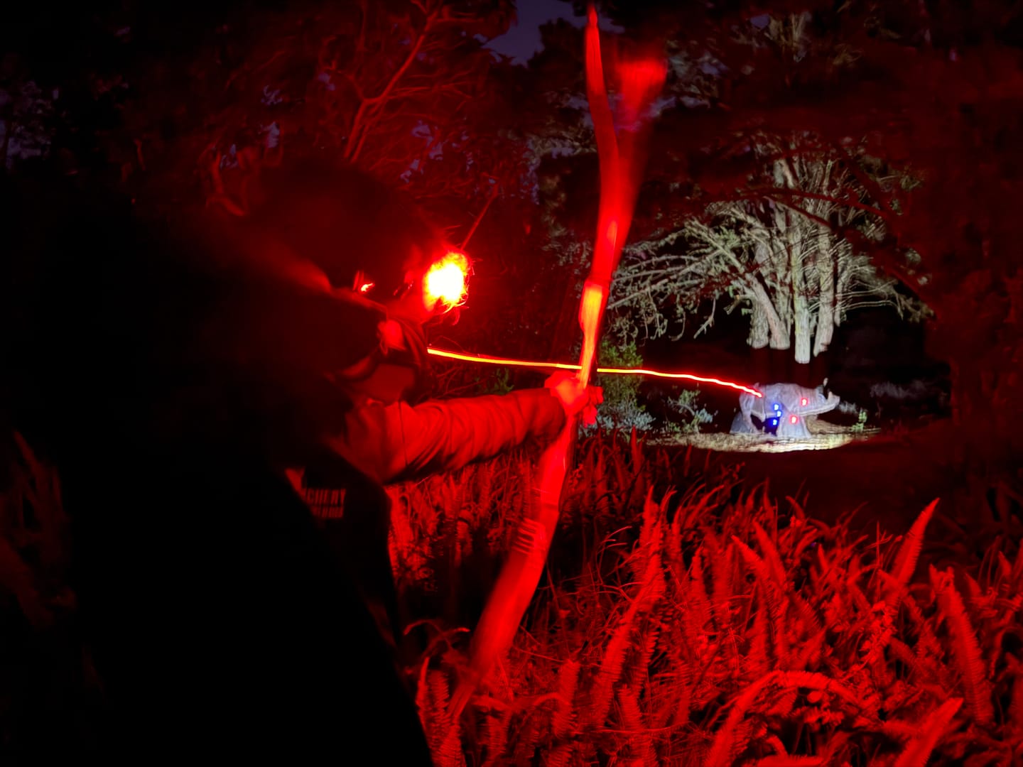 Customer photo review of Lumeo Pro RED Premium Headlamp