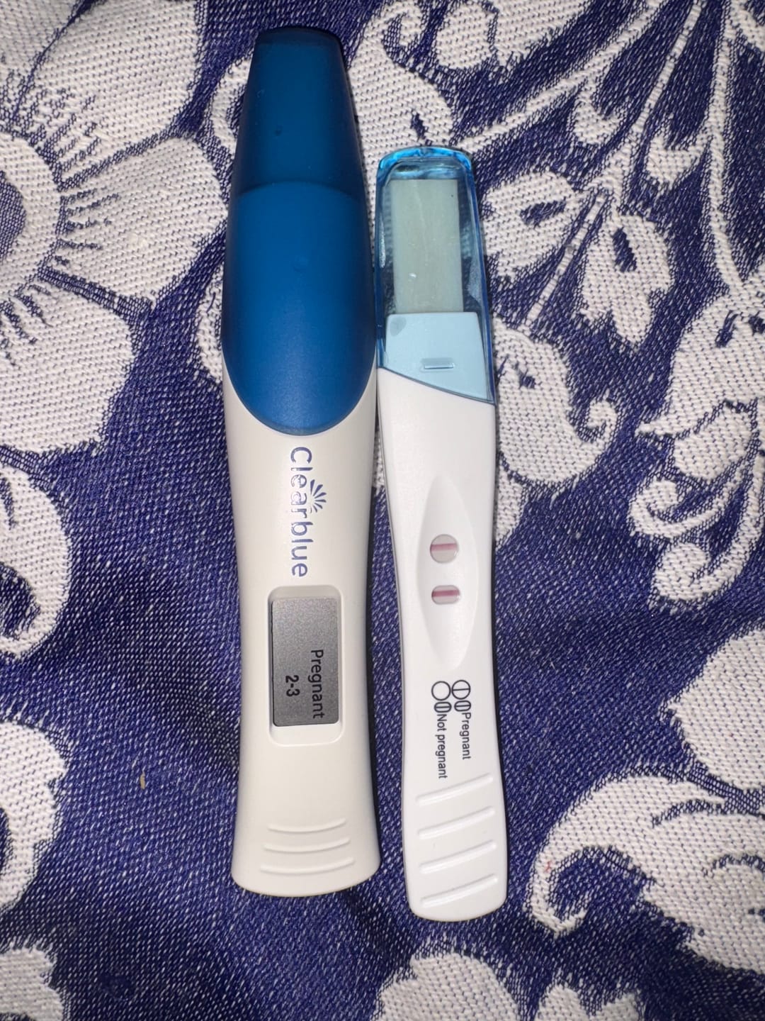 Customer photo review of Fertility Supplement