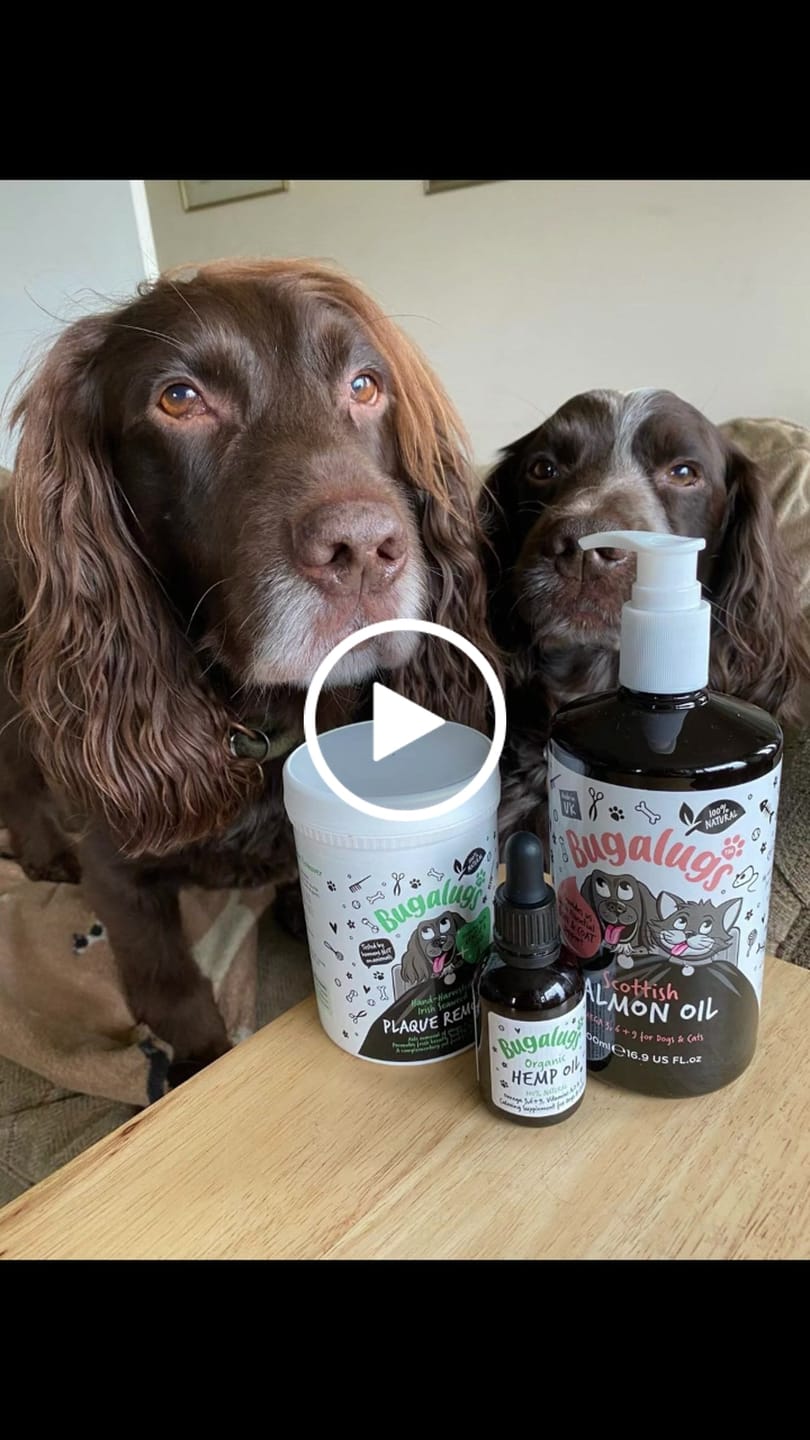 Customer video review of Hand-harvested Irish Seaweed Plaque Remover for Dogs & Cats (200g)