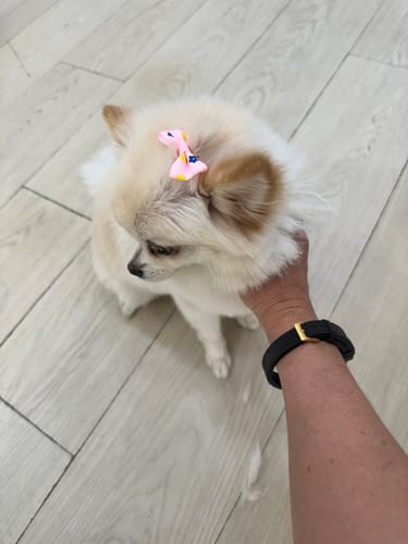 Customer photo review of The Gold Stability