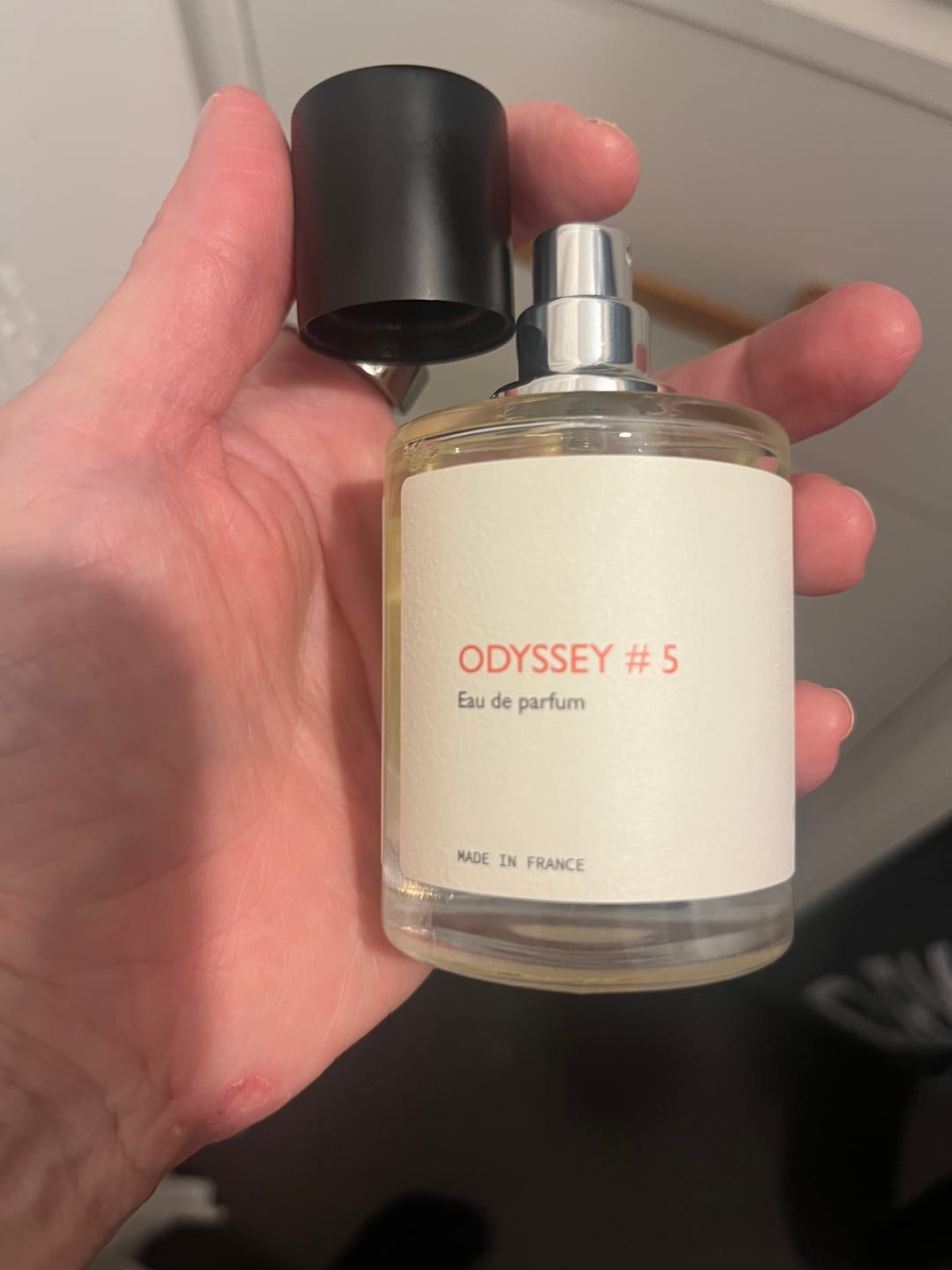 Customer photo review of Odyssey #5