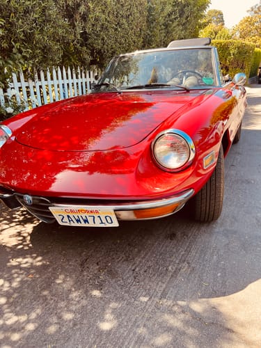 Customer photo review of 1984 CALIFORNIA THE GOLDEN STATE LICENSE PLATE 6"x12" (156.5mm x 305mm)