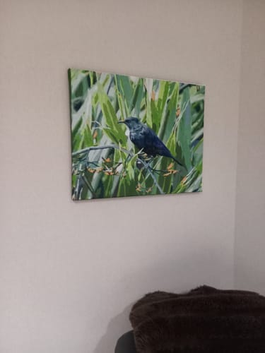 Customer photo review of Tui in Flax Bush